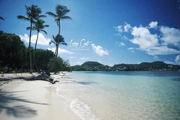 MA VIE AUX ANTILLES